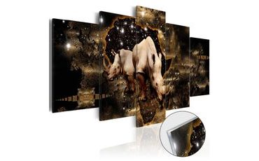 Picture on acrylic glass map with rhinos