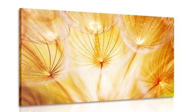 WANDBILD LÖWENZAHN IM SCHÖNEN DESIGN - BILDER BLUMEN - BILDER