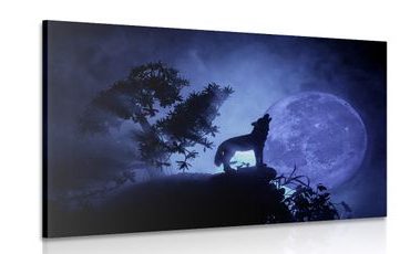 Obraz vlk v splne mesiaca