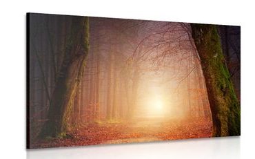 WANDBILD WALD IN MÄRCHENHAFTEN FARBEN - BILDER VON NATUR UND LANDSCHAFT - BILDER