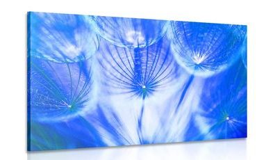 CANVAS PRINT DANDELION IN A BLUE DESIGN - PICTURES FLOWERS - PICTURES