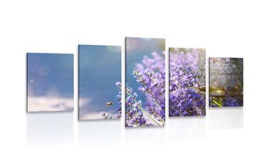 КАРТИНИ ОТ 5 ЧАСТИ – ЛАВАНДУЛОВА ГРАДИНА - НАТЮРМОРТИ - КАРТИНИ