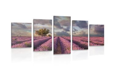 ΕΙΚΌΝΑ 5 ΜΕΡΏΝ ΤΩΝ ΧΩΡΑΦΙΏΝ ΛΕΒΆΝΤΑΣ ΤΗΣ ΟΥΚΡΑΝΊΑΣ - ΠΊΝΑΚΕΣ ΦΎΣΗΣ ΚΑΙ ΤΟΠΊΟΥ - ΠΊΝΑΚΕΣ