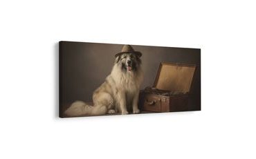 SLIKA PUTUJUĆI PAS SA ŠEŠIROM - SLIKE PASA - SLIKE