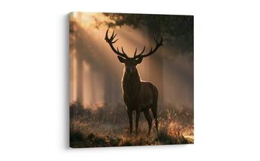 TABLEAU SUR TOILE – CERF DANS LES RAYONS DE LA FORÊT - TABLEAUX DE CERFS - TABLEAUX