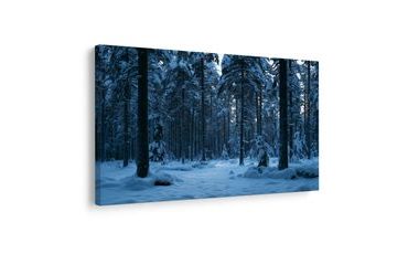 TABLEAU SUR TOILE – SILENCE HIVERNAL DANS LA FORÊT - TABLEAUX DE NOËL ET D’HIVER - TABLEAUX
