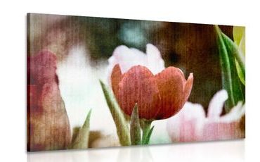 CANVAS PRINT MEADOW OF TULIPS IN RETRO STYLE - PICTURES FLOWERS - PICTURES