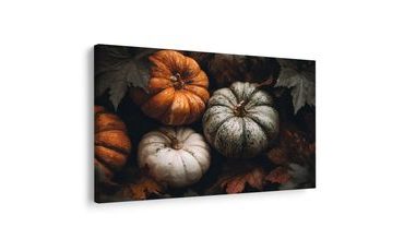 ΠΊΝΑΚΑΣ ΣΕ ΚΑΜΒΆ ΦΘΙΝΟΠΩΡΙΝΈΣ ΠΟΛΎΧΡΩΜΕΣ ΚΟΛΟΚΎΘΕΣ - ΠΊΝΑΚΕΣ ΝΕΚΡΉΣ ΦΎΣΗΣ - ΠΊΝΑΚΕΣ