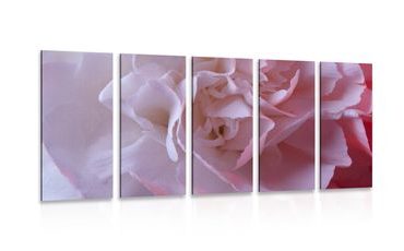 5-DÍLNÝ OBRAZ LUPÍNKY KARAFIÁTU - OBRAZY KVĚTŮ - OBRAZY