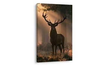 TABLEAU SUR TOILE – CERF MAJESTUEUX DANS LA FORÊT - TABLEAUX DE CERFS - TABLEAUX