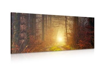 CANVAS PRINT LIGHT IN THE FOREST - PICTURES OF NATURE AND LANDSCAPE - PICTURES