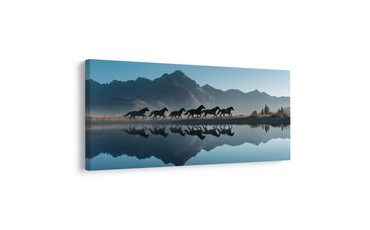 SLIKA DIVLJA TRKA UZ JEZERO - SLIKE KONJA - SLIKE