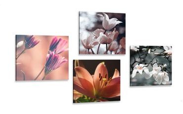 CANVAS PRINT SET TENDERNESS OF FLOWERS - SET OF PICTURES - PICTURES