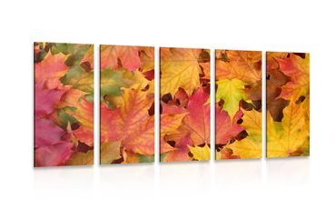 IMPRESSION SUR TOILE EN 5 PARTIES FEUILLES D'AUTOMNE - IMPRESSIONS SUR TOILE NATURE MORTE - IMPRESSION SUR TOILE