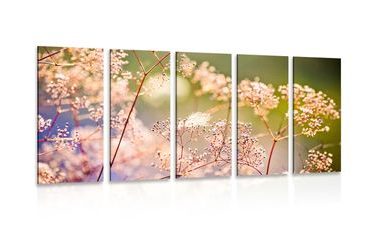 5-PIECE CANVAS PRINT FLORAL STILL LIFE - PICTURES OF NATURE AND LANDSCAPE - PICTURES