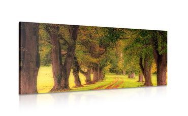 WANDBILD WEG DURCH DEN HERBSTWALD - BILDER VON NATUR UND LANDSCHAFT - BILDER