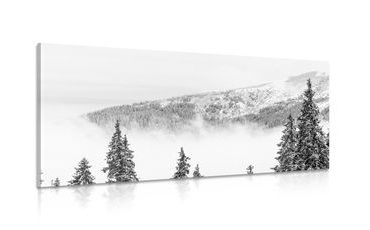 CANVAS PRINT SNOWY PINE TREES IN BLACK AND WHITE - BLACK AND WHITE PICTURES - PICTURES