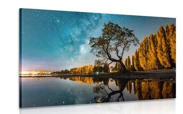 CANVAS PRINT TREE UNDER A STARRY SKY - PICTURES OF NATURE AND LANDSCAPE - PICTURES