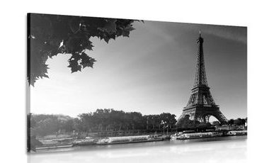 CANVAS PRINT AUTUMN PARIS IN BLACK AND WHITE - BLACK AND WHITE PICTURES - PICTURES