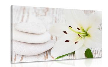 CANVAS PRINT LILY AND MASSAGE STONES IN A WHITE DESIGN - PICTURES FENG SHUI - PICTURES