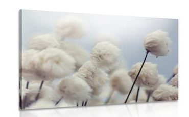 КАРТИНА НА ПЛАТНО – АРКТИЧЕСКИ ЦВЕТЯ ОТ ПАМУК - КАРТИНИ С ЦВЕТЯ - КАРТИНИ