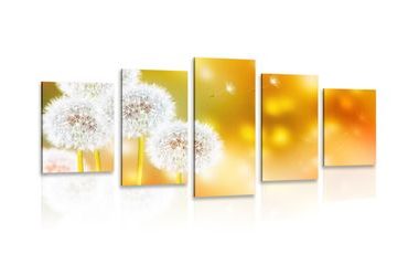 5-PIECE CANVAS PRINT FLUFFY DANDELION - PICTURES FLOWERS - PICTURES