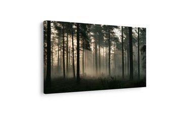 TABLEAU SUR TOILE – FORÊT DE PINS BRUMEUSE À L’AUBE - TABLEAUX FORÊT - TABLEAUX