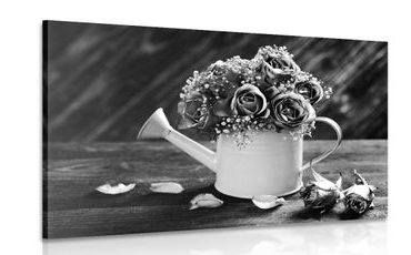 CANVAS PRINT ROSE IN A WATERING CAN IN BLACK AND WHITE - BLACK AND WHITE PICTURES - PICTURES