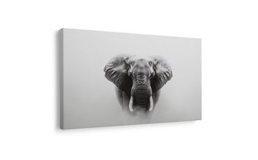 KÉP FENSÉGES ELEFÁNT A KÖDBEN - ELEFÁNTOS KÉPEK - KÉPEK