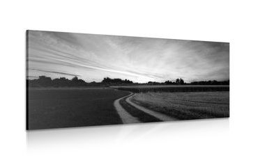 WANDBILD UNTERGEHENDE SONNE ÜBER DER LANDSCHAFT IN SCHWARZ-WEISS - SCHWARZ-WEISSE BILDER - BILDER