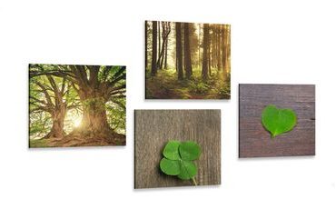 BILDER-SET HAUCH VON NATUR - BILDERSETS - BILDER