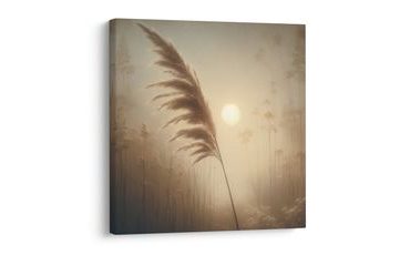 OBRAZ PAMPOVÁ TRÁVA V ZÁŘI SLUNCE - OBRAZY VÝCHOD A ZÁPAD SLUNCE - OBRAZY
