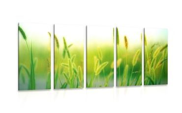 IMPRESSION SUR TOILE EN 5 PARTIES BRINS D'HERBE DANS UN DESIGN VERT - IMPRESSION SUR TOILE DE NATURE ET PAYSAGE - IMPRESSION SUR TOILE