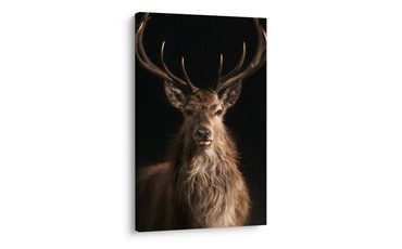 TABLEAU SUR TOILE – CERF FIER AUX BOIS IMPOSANTS - TABLEAUX DE CERFS - TABLEAUX