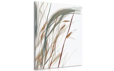 OBRAZ MINIMALISTICKÁ STÉBLA TRÁVY - OBRAZY TRÁVY - OBRAZY