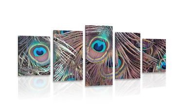 5-DÍLNÝ OBRAZ PAVÍ PEŘÍČKO - OBRAZY ZÁTIŠÍ - OBRAZY