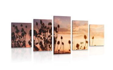5-PIECE CANVAS PRINT GRASS BLADES IN A FIELD - PICTURES OF NATURE AND LANDSCAPE - PICTURES