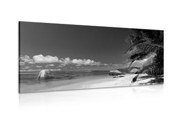 CANVAS PRINT ANSE SOURCE BEACH IN BLACK AND WHITE - BLACK AND WHITE PICTURES - PICTURES