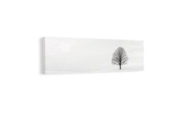 TABLEAU SUR TOILE – ARBRE DE VIE PAISIBLE DANS LA PLAINE - TABLEAUX ARBRE DE VIE - TABLEAUX