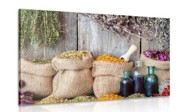 CANVAS PRINT MEDICINAL HERBS - PICTURES OF FOOD AND DRINKS - PICTURES