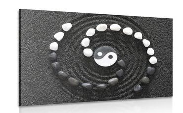 OBRAZ HARMONICKÝ JIN A JANG - ČIERNOBIELE OBRAZY - OBRAZY