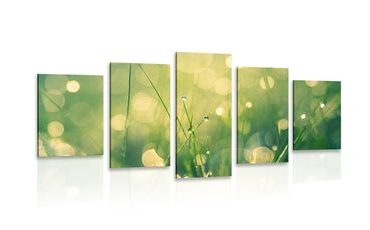 5-PIECE CANVAS PRINT MORNING DEW - PICTURES OF NATURE AND LANDSCAPE - PICTURES