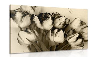 QUADRO DI TULIPANI PRIMAVERILI CON DESIGN IN SEPPIA - QUADRI BIANCO E NERO - QUADRI