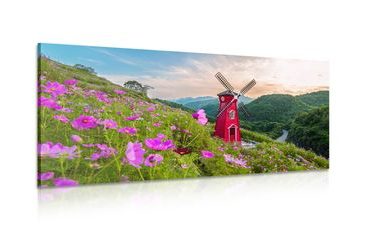 OBRAZ LOUKA PŘI KOUZELNÉM MLÝNĚ - OBRAZY PŘÍRODY A KRAJINY - OBRAZY