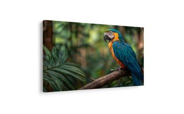 KÉP SZÍNES TERMÉSZET HARMÓNIÁJA - MADARAS KÉPEK - KÉPEK