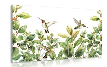 OBRAZ KOLIBŘÍKY A LISTY - OBRAZY PTÁCI - OBRAZY