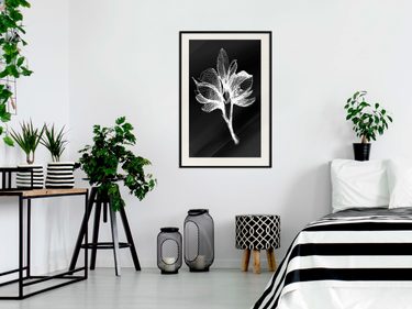 čiernobiely interiér, plagát biela rastlina na čiernom podklade