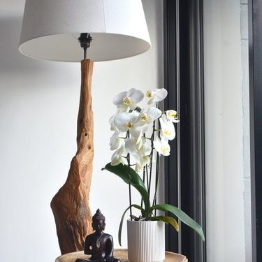 biela orchidea v črepníku na stole 