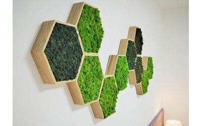 Machové obrazy - kúsok prírody u vás doma