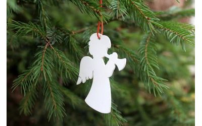 Jak vybrat ten správný vánoční stromeček?